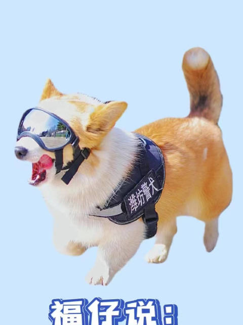 福仔说:你的1步我的10步,努力奔跑前方有光!柯警福仔 莫言和余华的微信头像