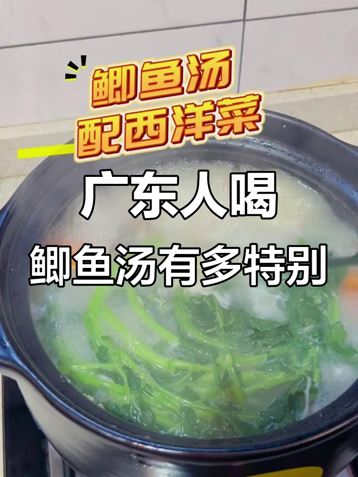 广东鲫鱼汤的独特做法,西洋菜和胡椒粉加持!