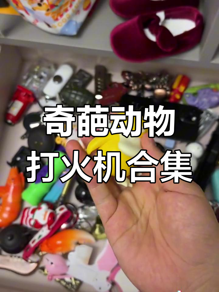 女朋友送的奇葩动物打火机,竟然有可达鸭和火焰老鼠!