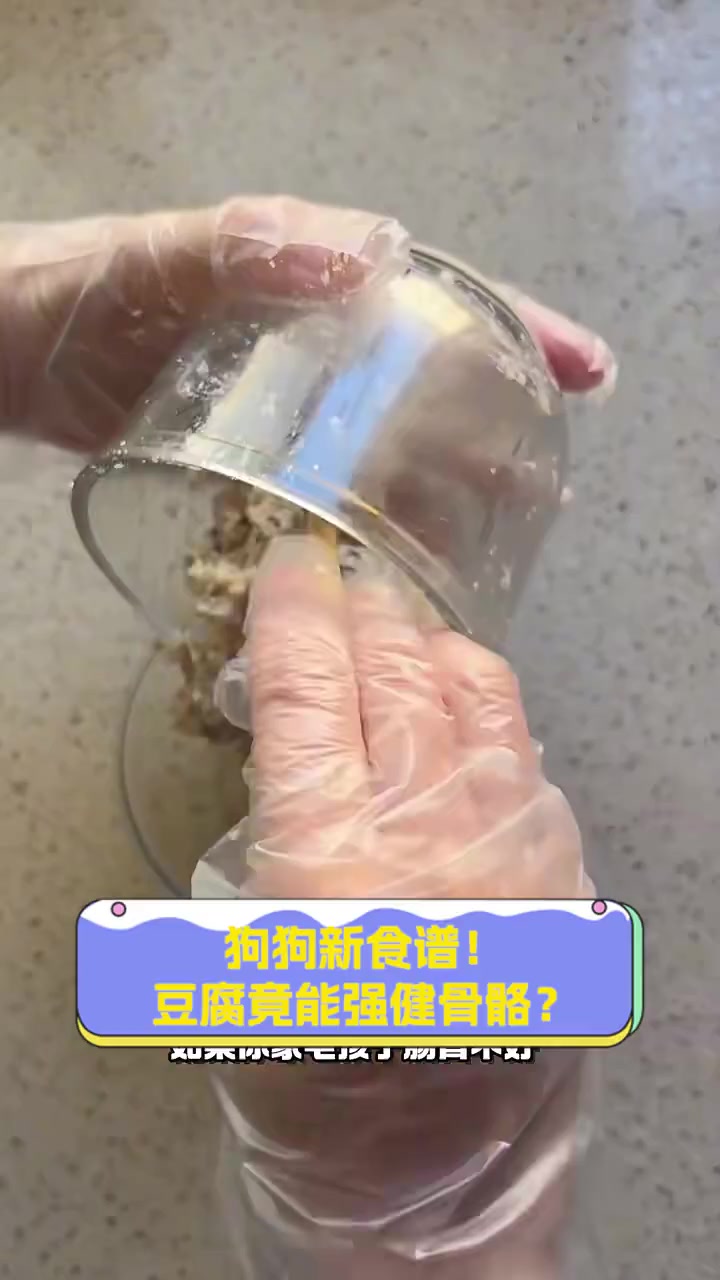 狗狗新食谱!豆腐竟能强健骨骼?