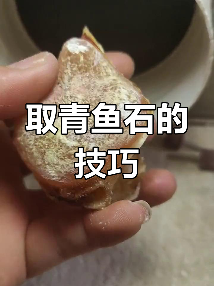 青鱼石轻松取出,简单又实用