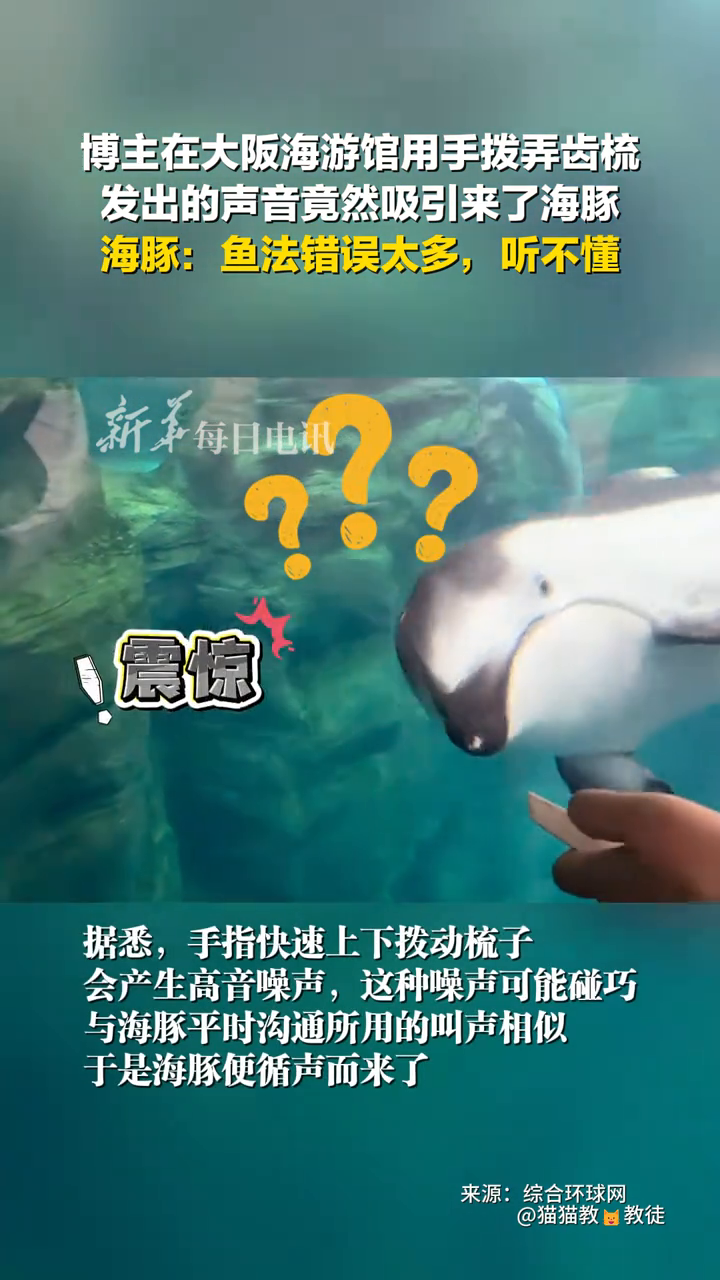 博主在大阪海游馆用手拨弄齿梳 发出的声音竟然吸引来了海豚