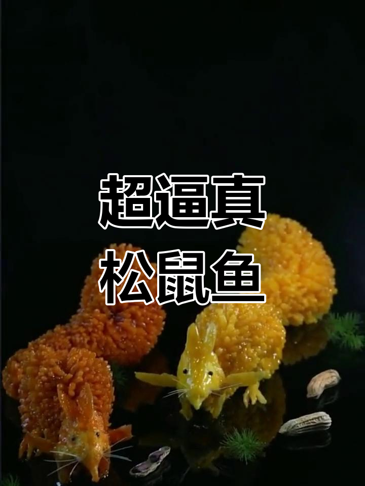 松鼠鱼制作技巧大公开,轻松学会逼真造型