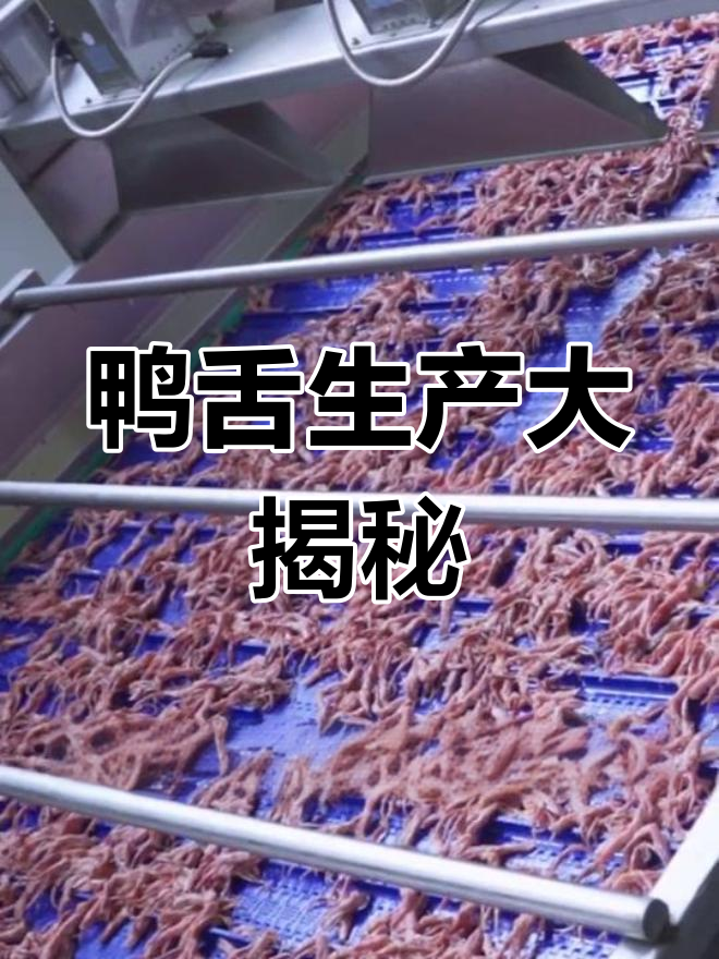 揭秘鸭舌生产线,原来不是手工一个个做的!