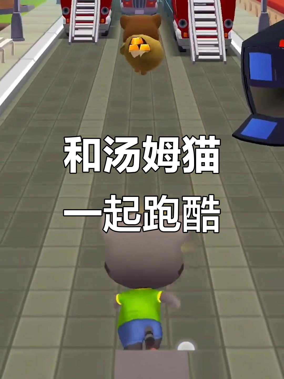 汤姆猫跑酷大冒险,追小偷、抢金币!