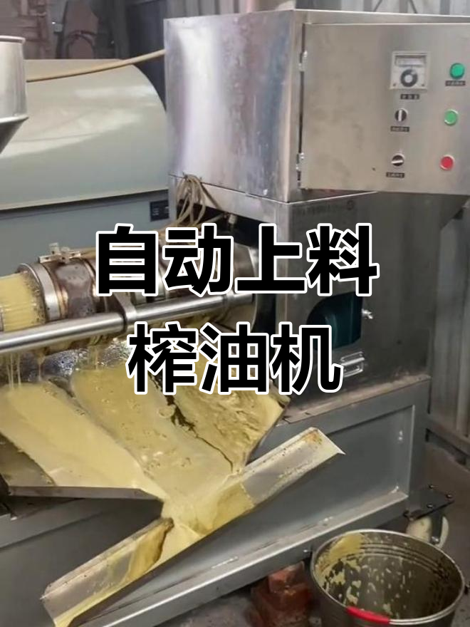 新型高效榨油机,自动炒料更耐用