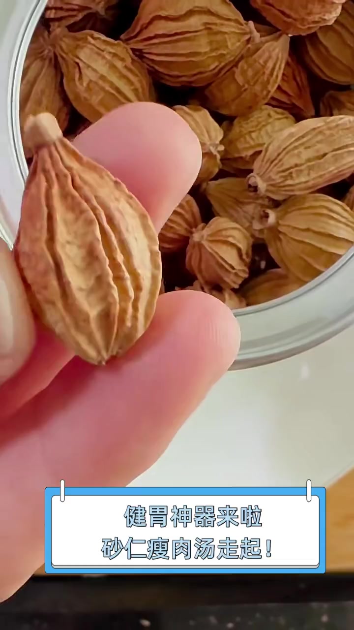 健胃神器来啦,砂仁瘦肉汤走起!