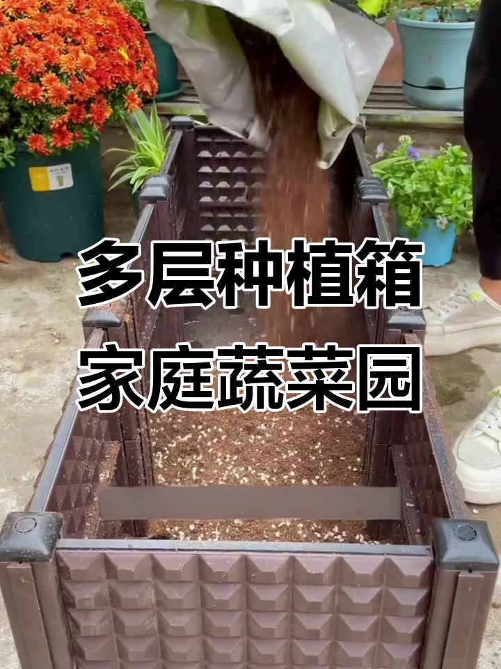 阳台种菜神器,多层种植箱让屋顶变蔬菜园