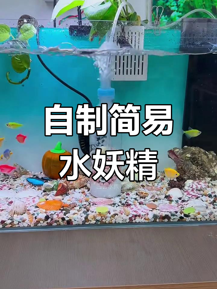 利用废旧瓶子做鱼缸增氧泵,简单又实用