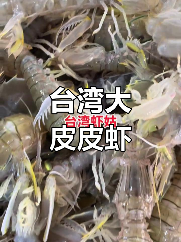 台湾大皮皮虾,鲜美无比的海洋美味