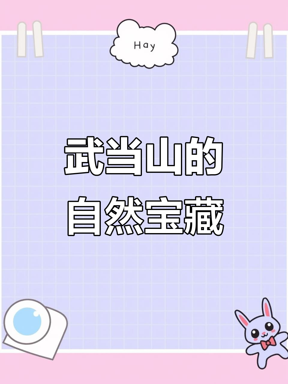 武当山户外探险:从草药到鸭舌草,大自然的奇妙馈赠