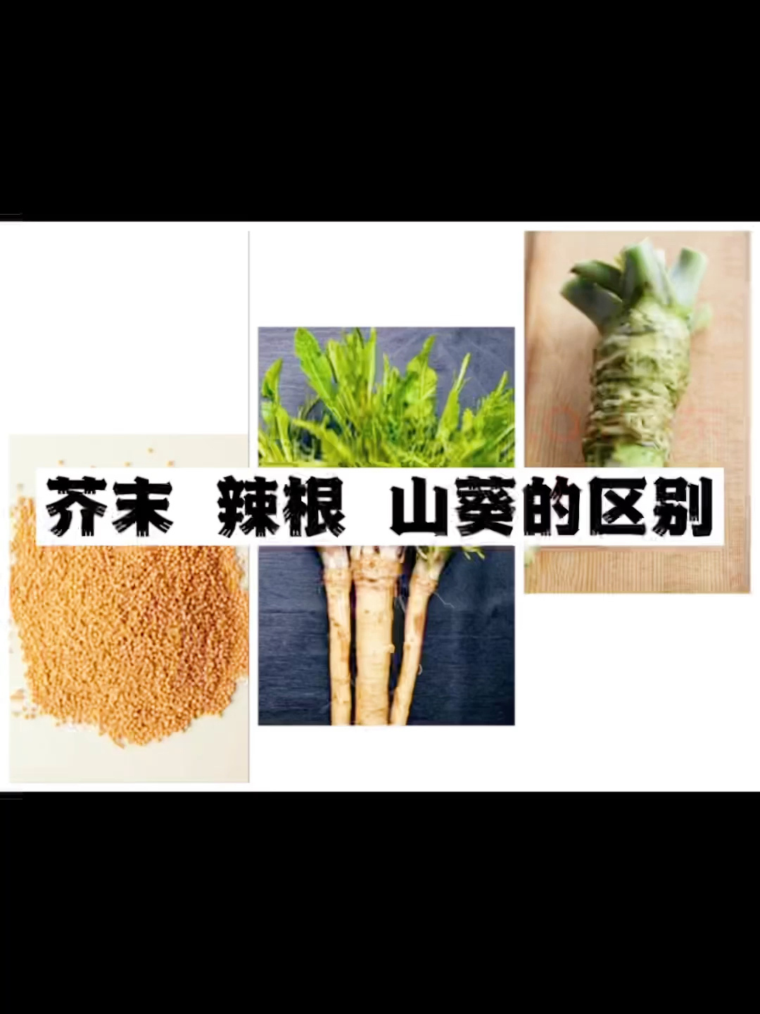 芥末 辣根 山葵的区别