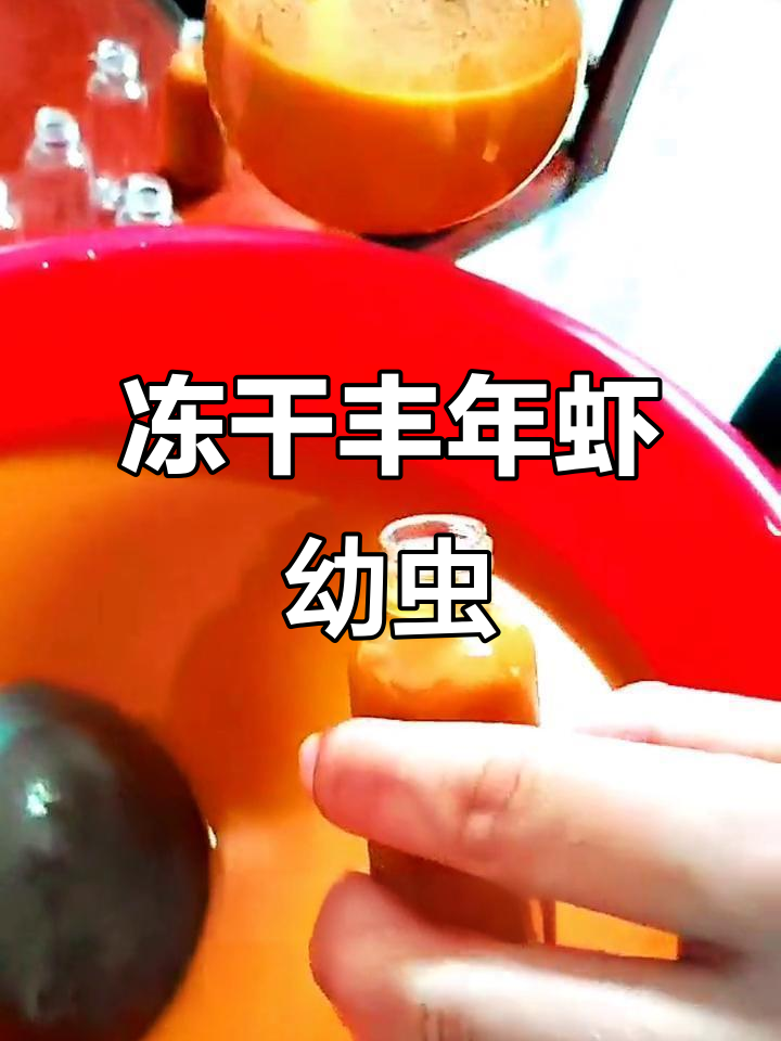 冰冻丰年虾幼虫：营养丰富，适合鱼苗开口粮