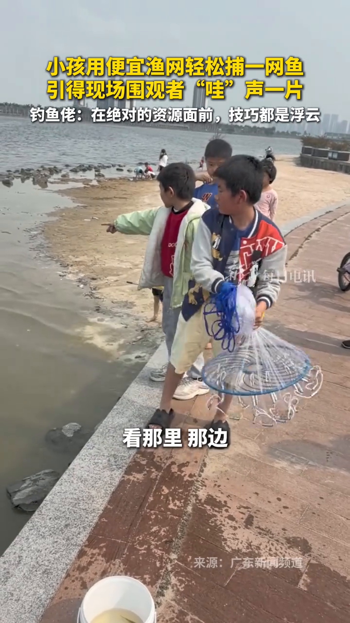 小孩用便宜渔网轻松捕一网鱼,引得现场围观者“哇”声一片
