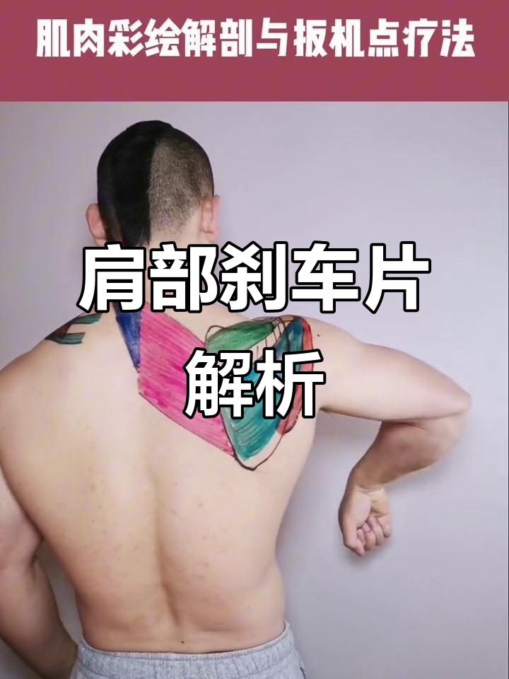 肩关节的“刹车片”肌肉，运动中不可或缺的角色