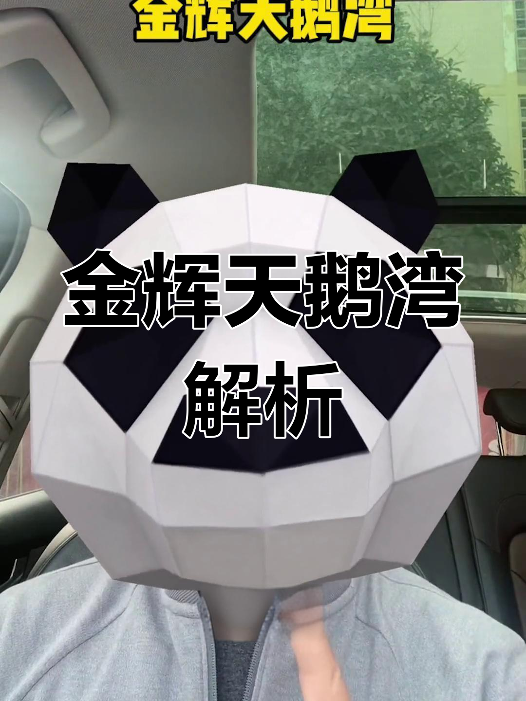 金辉天鹅湾:淮安房产新宠,投资回报如何?