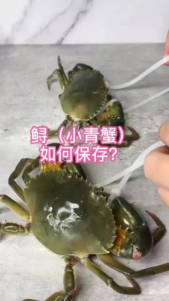 又到了吃小青蟹(鲟)的季节啦!怎么保存你们知道吗?螃蟹 鲟 青蟹 霍府后厨 这个肯定比大闸