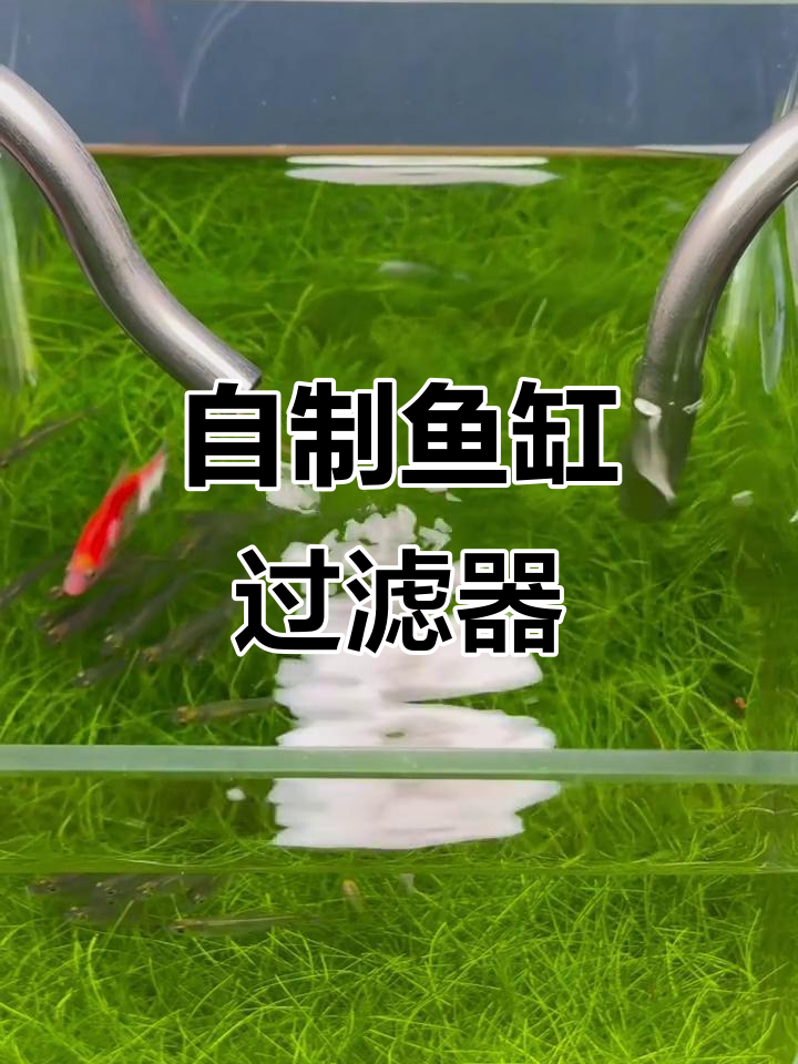 50元DIY鱼缸过滤桶教程，玻璃杯+气动开关打造可视化滤材