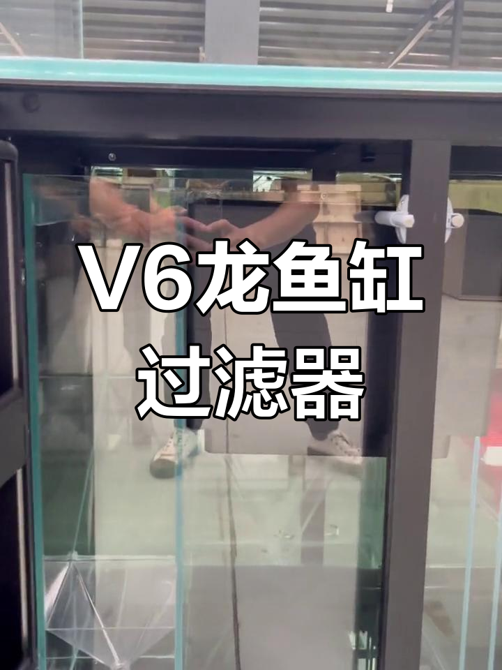 龙鱼缸V6过滤系统全解析:高配设计,适合大型水族箱