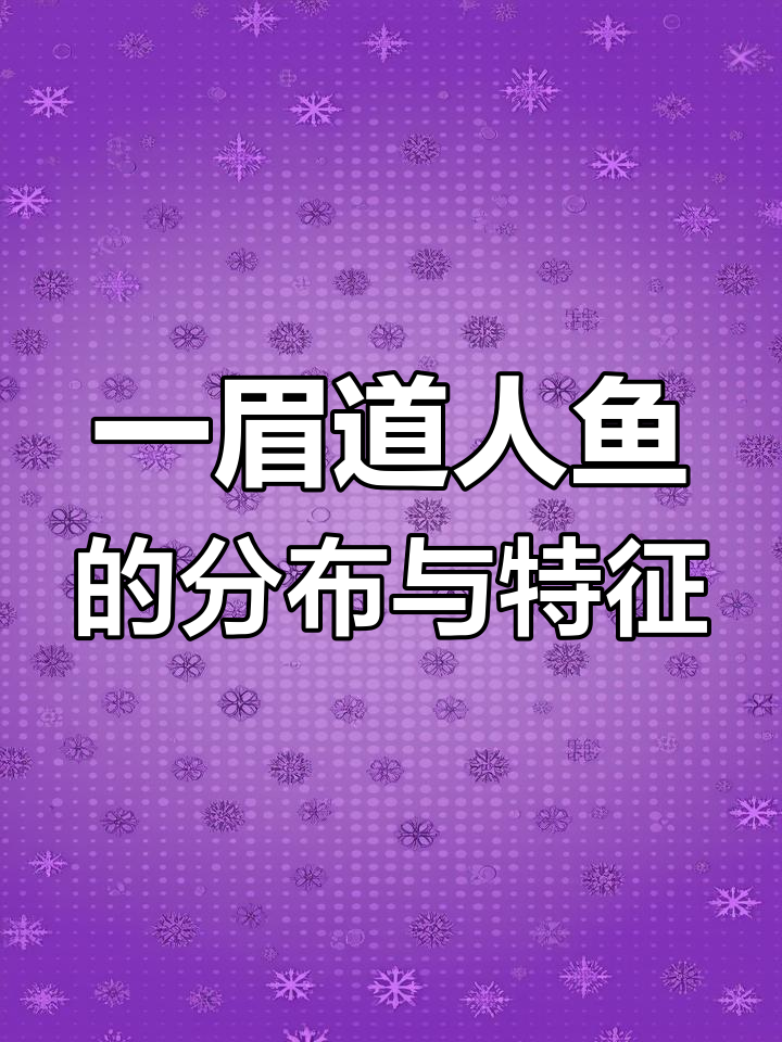 一眉道人鱼:从印度到香港的灯鱼之旅