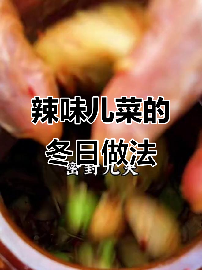 冬季必备!湖南传统坛子菜,简单又美味