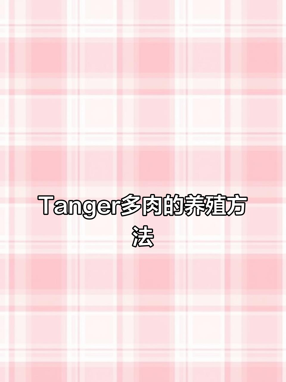 了解Tiger多肉:耐寒又美丽的群生植物,养护技巧全揭秘