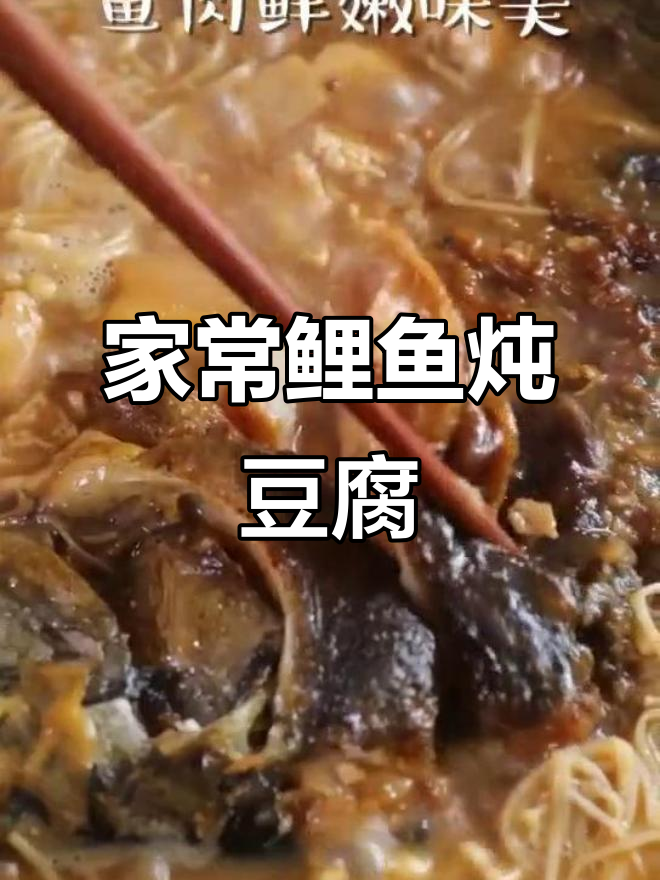 鲤鱼豆腐炖汤,家常美味又营养