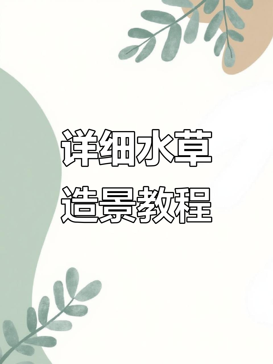 水族箱造景全攻略,打造自然生态鱼缸