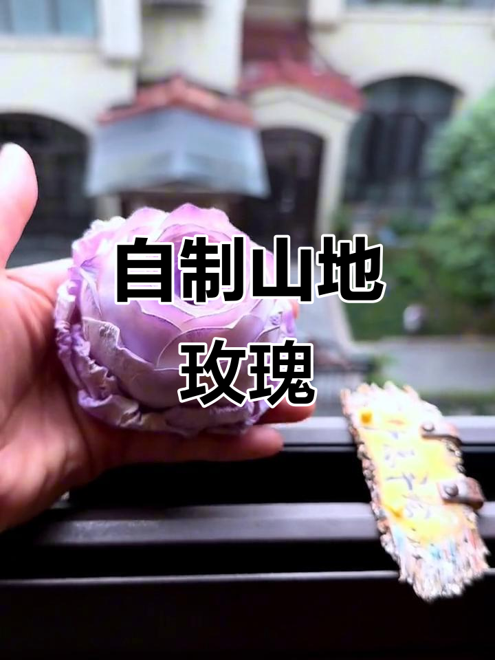 山地玫瑰:多肉植物手工制作,打造独特原创作品