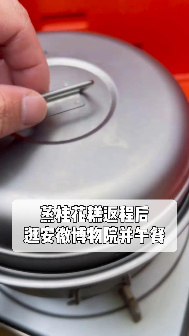 蒸桂花糕返程后,逛安徽博物院并午餐