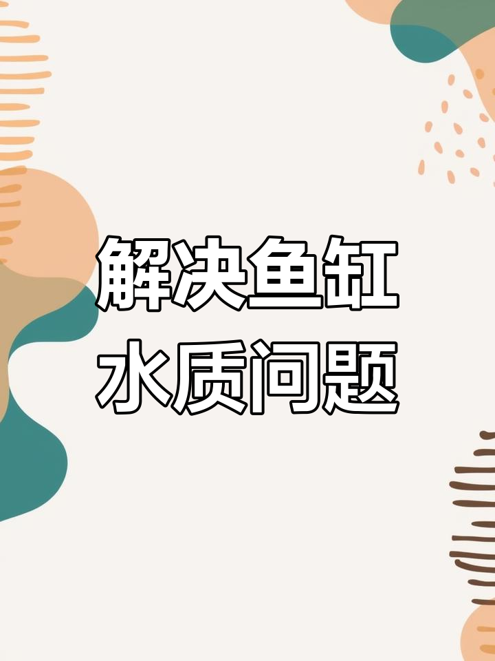 鱼缸水浑浊的原因及解决方法,过滤系统很重要