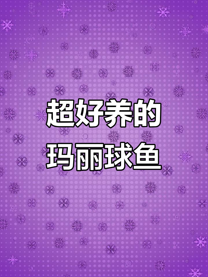 玛丽鱼：超耐养，每月生小鱼，轻松爆缸！