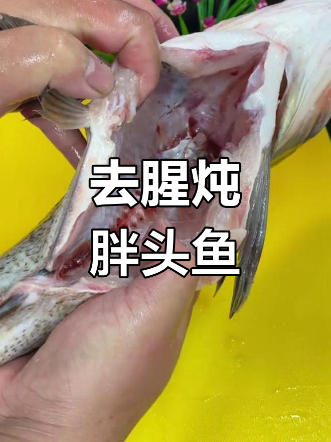胖头鱼去腥妙招,炖出美味