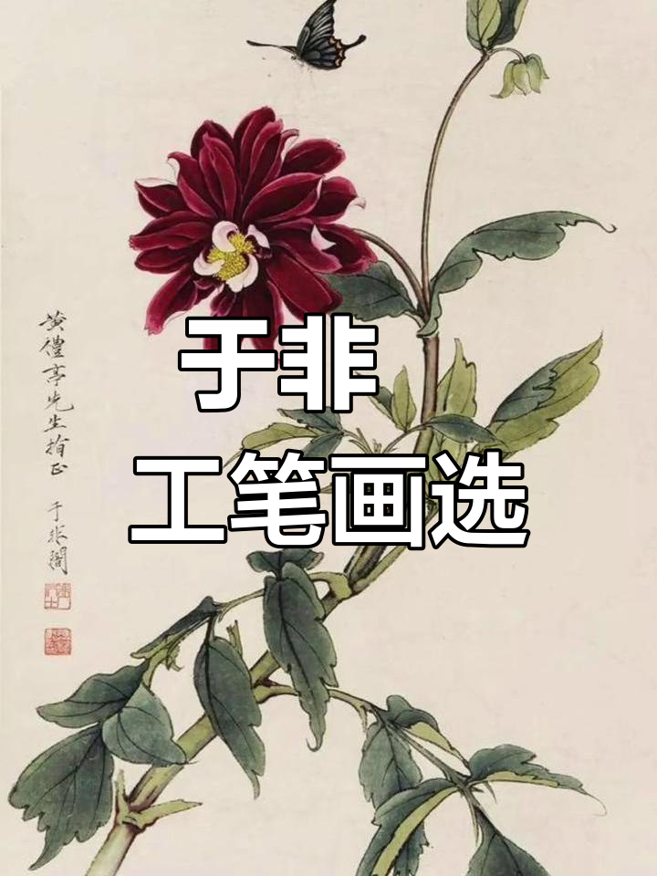 感受国画大师于非闇的工笔花鸟,意境之美尽显