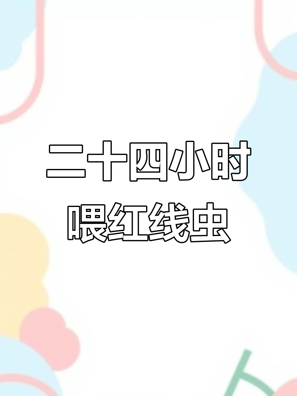 24小时自助餐,泰狮兰寿苗子吃得开心