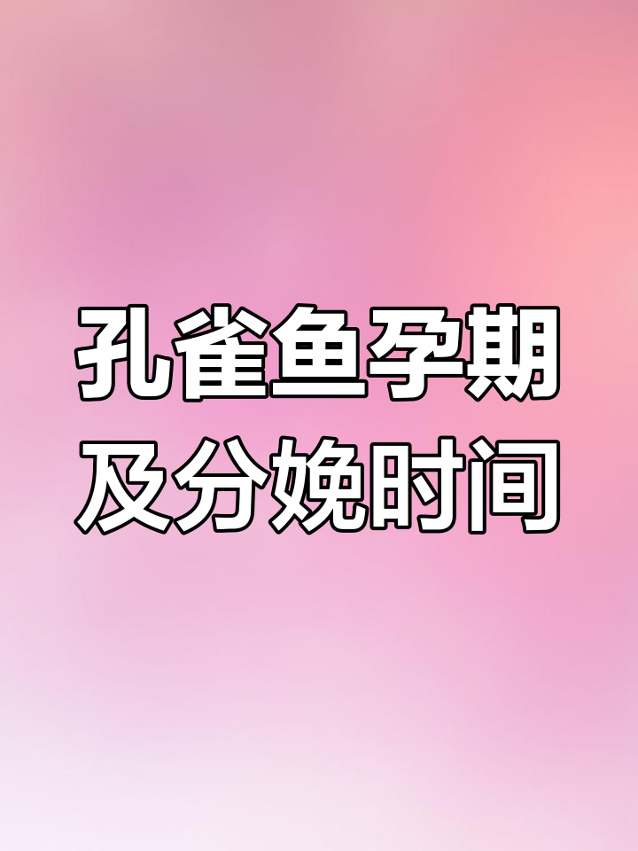 孔雀鱼怀孕多久能生小鱼?揭秘繁殖周期与护理技巧