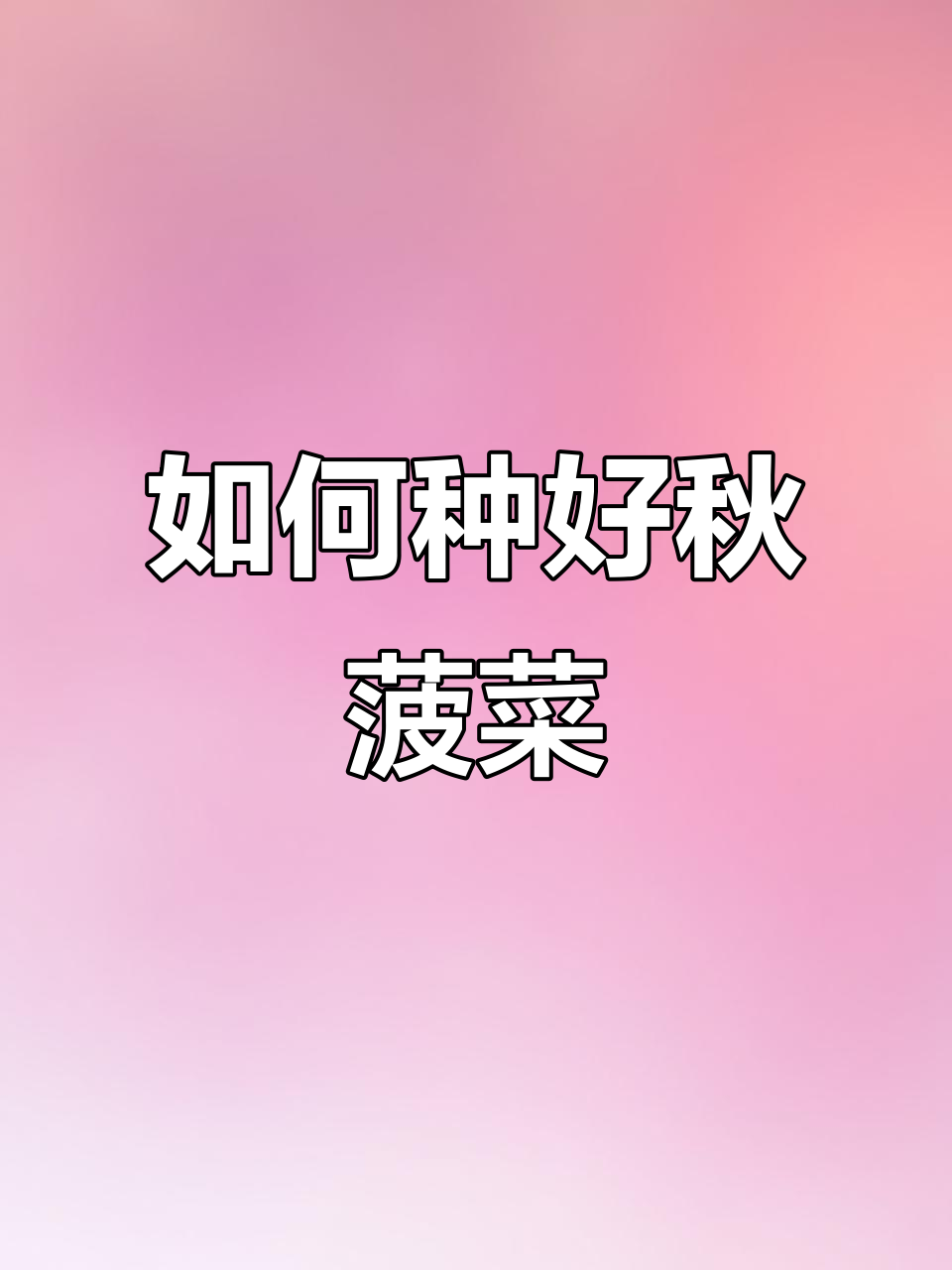 秋季菠菜种植技巧,轻松掌握出芽方法