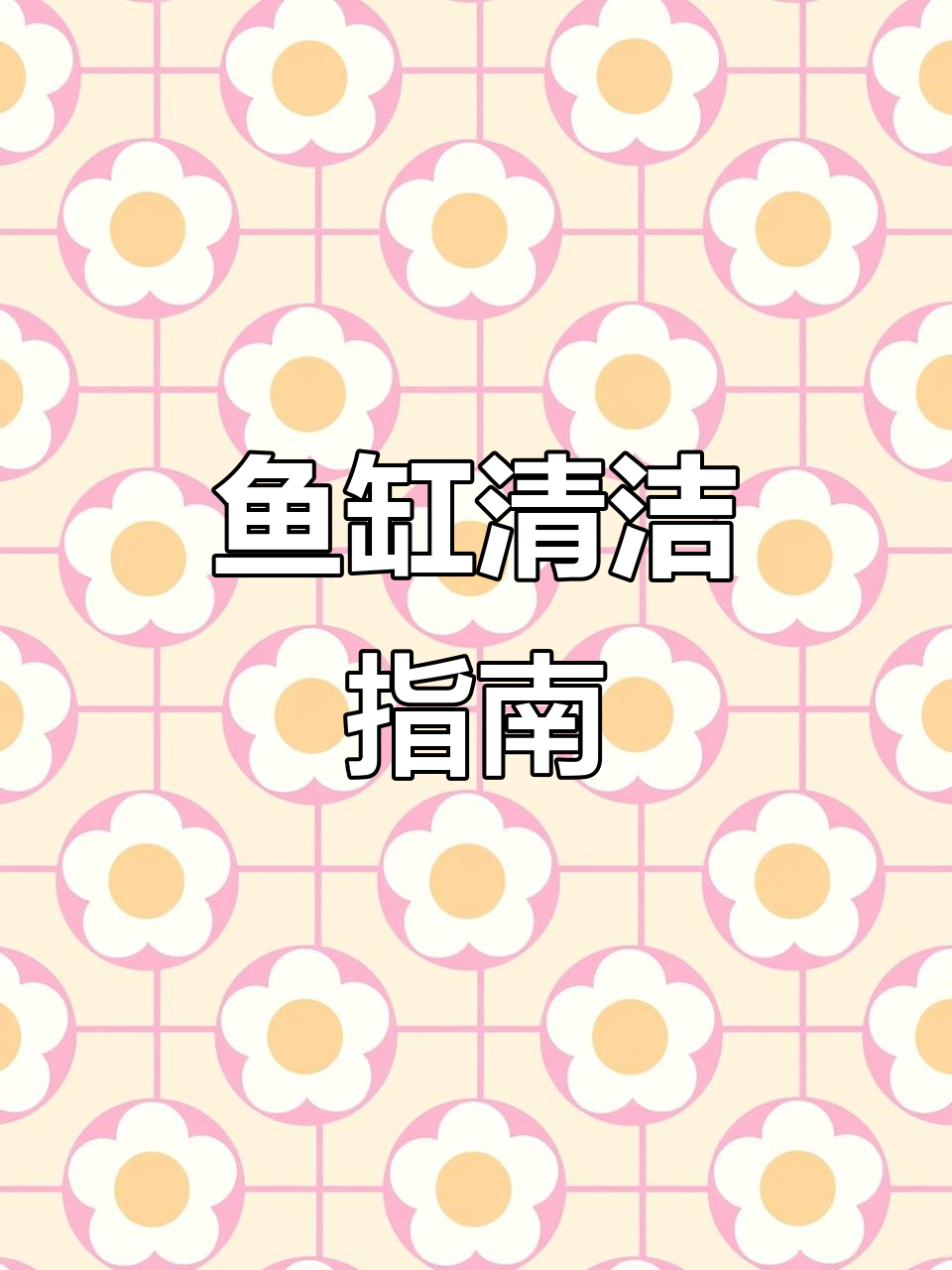 清洗鱼缸时,注意物理与生化仓的布局及过滤材料放置