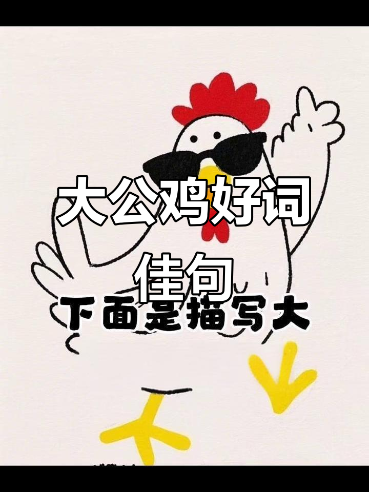 描写大公鸡的精彩词汇与句子,展现雄姿与风采