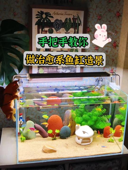 鱼缸造景可以这样搭配,小清新又治愈!
