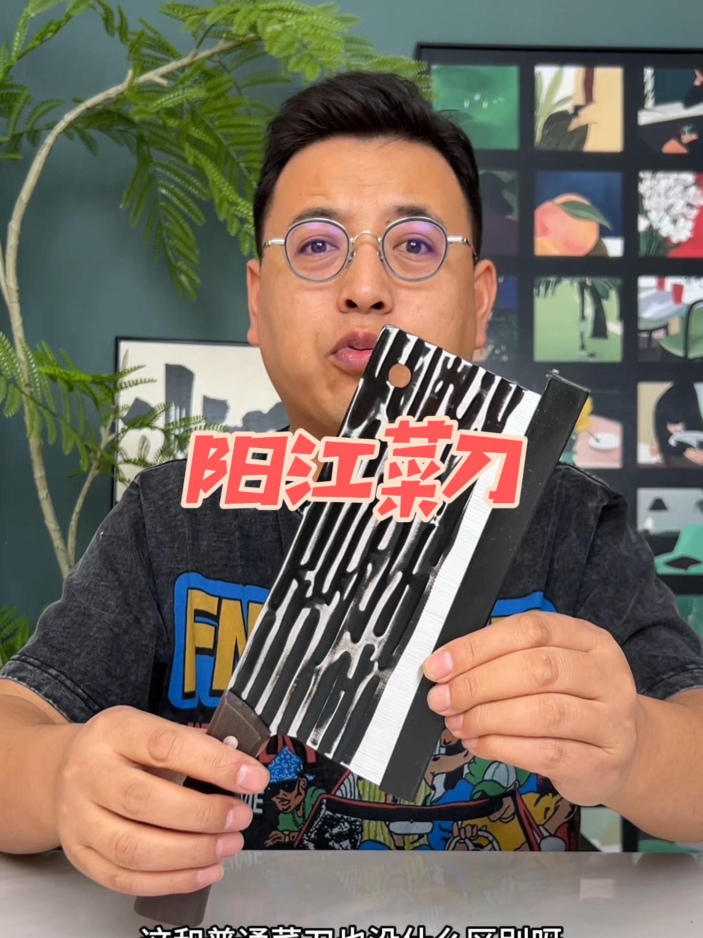 这个菜刀真的好用吗?菜刀 斩切两用刀