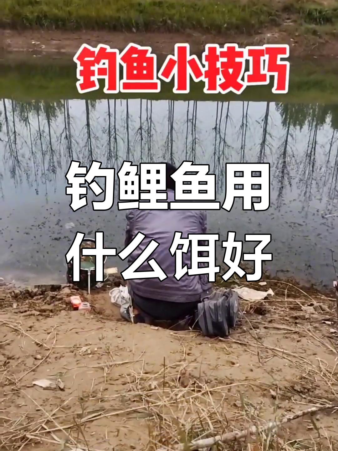 钓鲤鱼用蚯蚓效果如何?试试这些饵料更有效