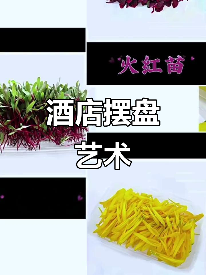 餐饮美食与花草艺术的完美结合,酒店摆盘创意十足