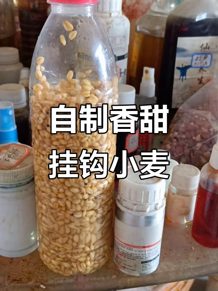制作香甜挂钩小麦,步骤全解析