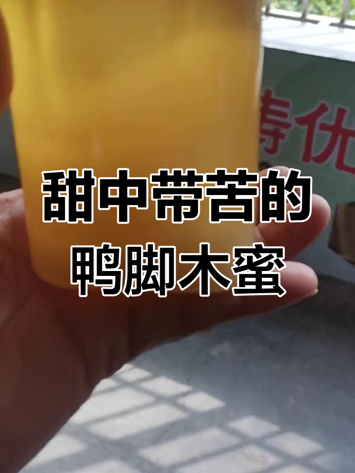 鸭脚木蜜:东南亚最爱的岭南特色蜂蜜