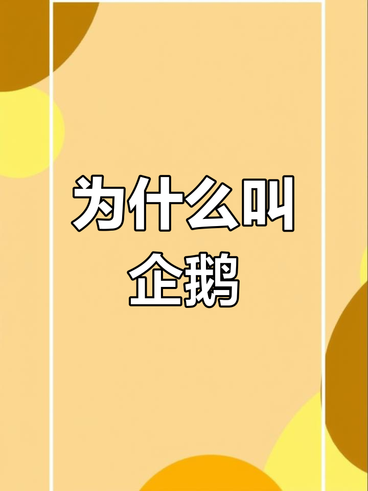 企鹅名字的由来揭秘