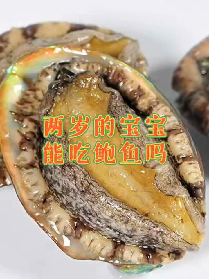 两岁的宝宝可以吃鲍鱼吗