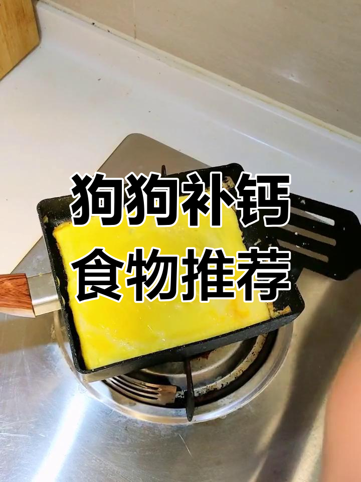 狗狗补钙营养食谱,轻松补充钙质