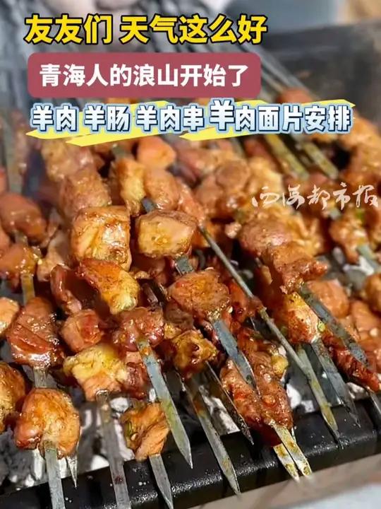 友友们 天气这么好 青海人的浪山开始了羊肉 羊肠 羊肉串 羊肉面片安排