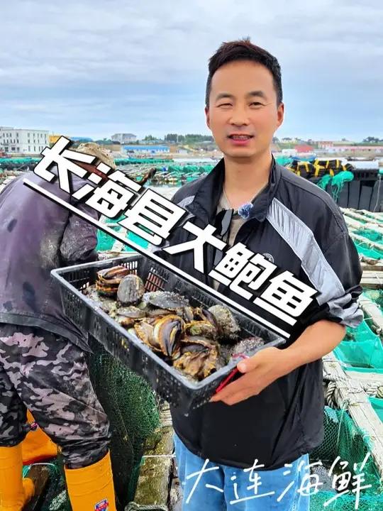 来看看真正的好鲍鱼是什么样子